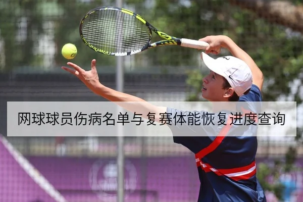 网球球员伤病名单与复赛体能恢复进度查询